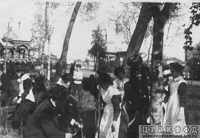 Гимназисты и педагоги сажают деревья в парке, в окрестностях Красного Села, 1907