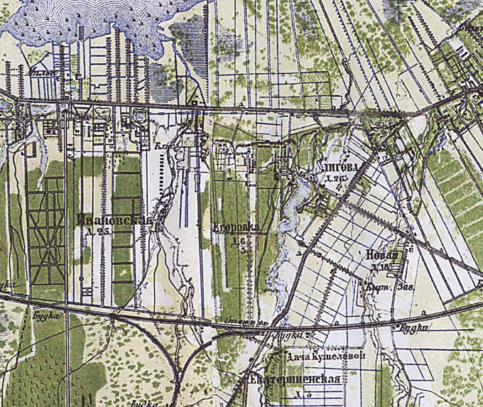Лигово и Петергофская дорога на карте 1870
